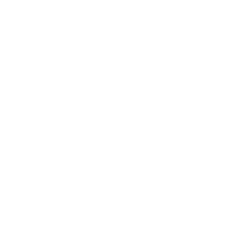analysis icon