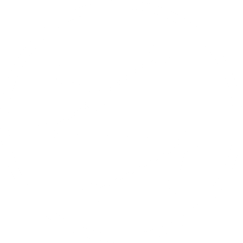 connect icon